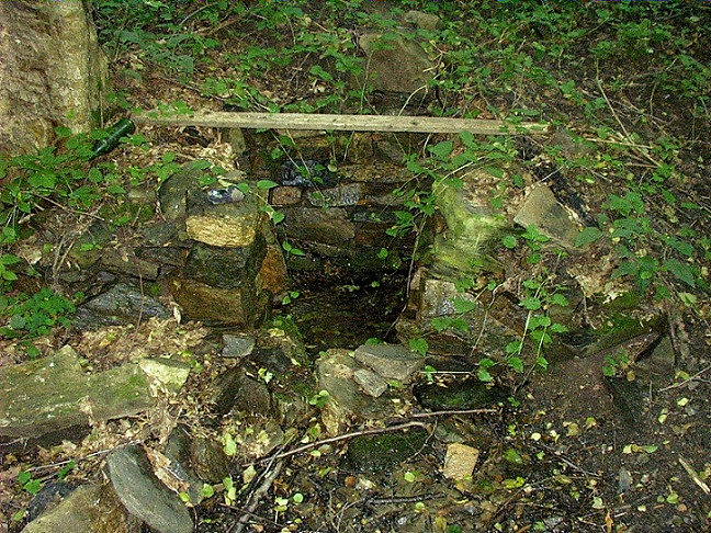 studánka bez jména (3536) - červen 2010