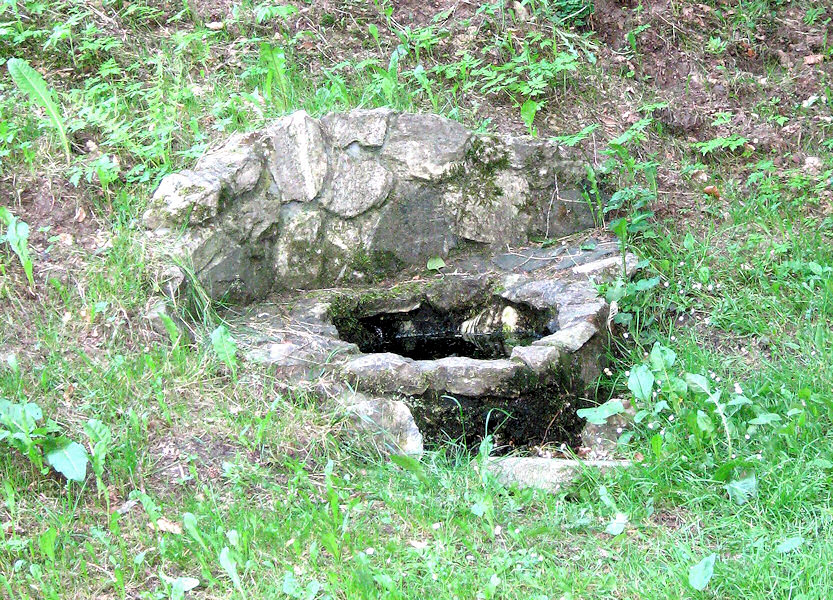 studánka Modřínová alej (3550) - červenec 2010