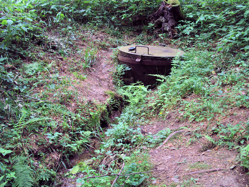 studánka bez jména (3572) - červenec 2010