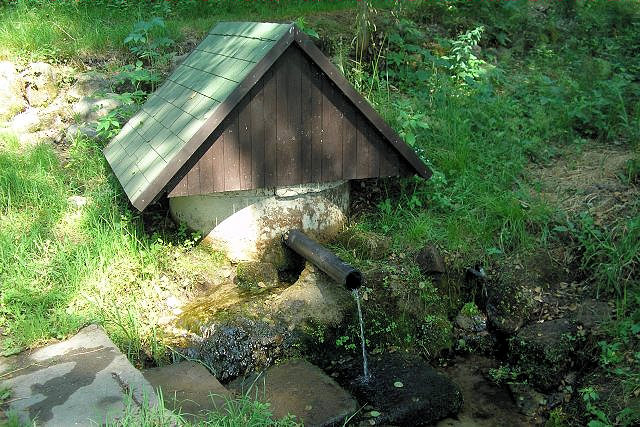 studánka bez jména (3579) - červenec 2010