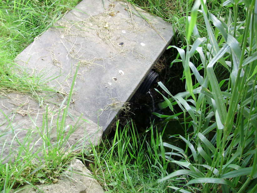 studánka bez jména (3594) - červenec 2010