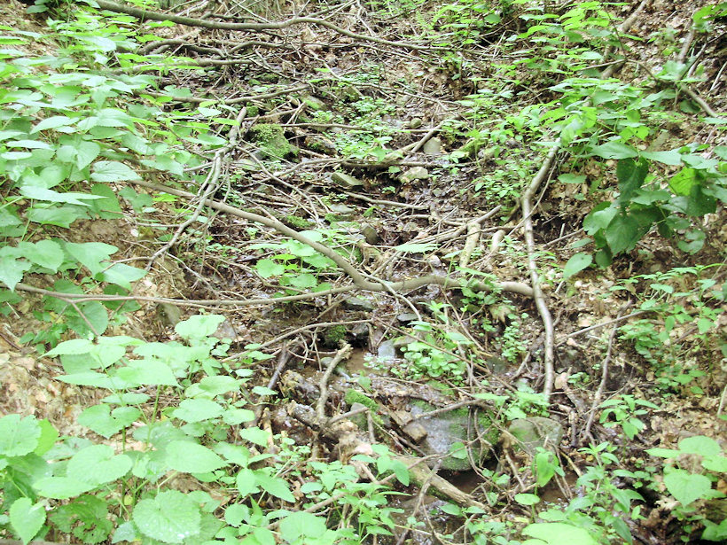 pramen Pod sedlem (3596) - červenec 2010