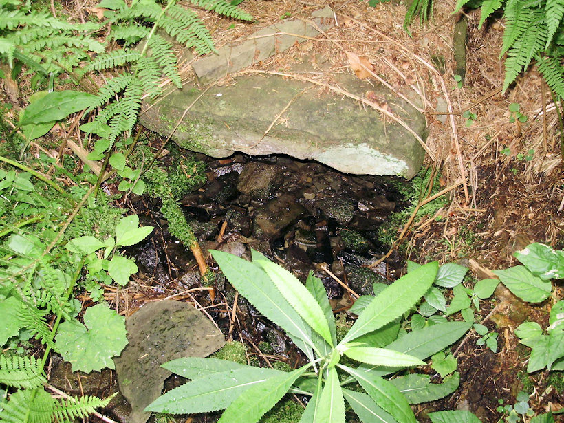 pramen Pod kamenem (3598) - červenec 2010