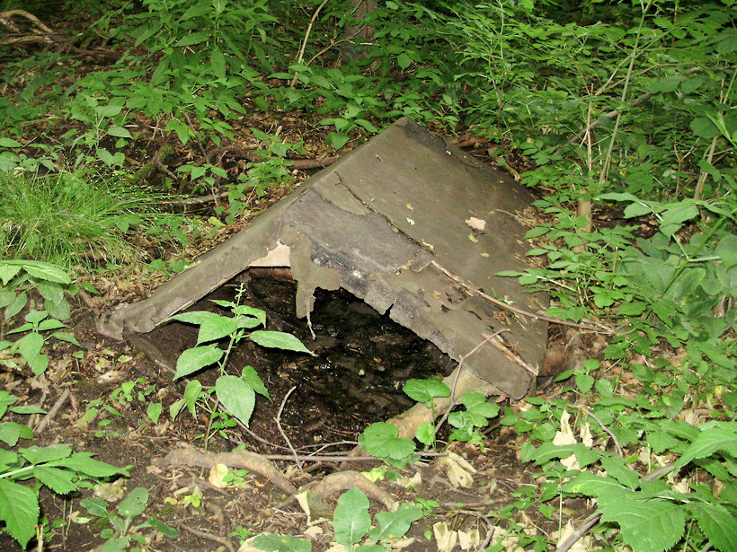 studánka U krmelce (3600) - červenec 2010