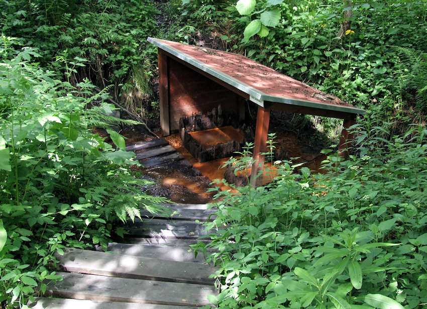 Liščí prameny (3609) - červenec 2010