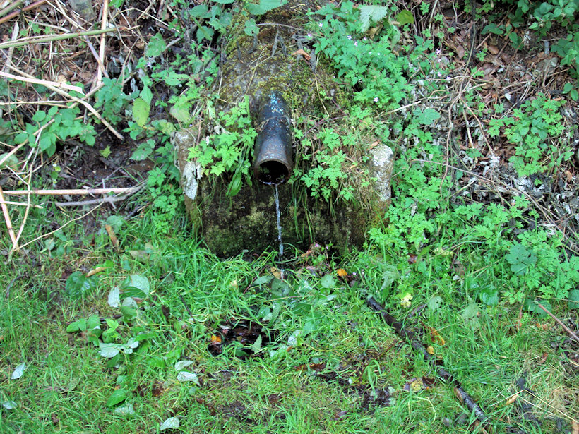 studánka U Starého koupaliště (3617) - červenec 2010