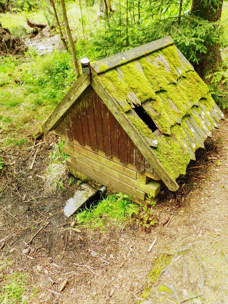 Horníčkova studánka (3623) - květen 2024