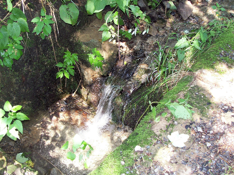 prameniště bez jména (3638) - červenec 2010