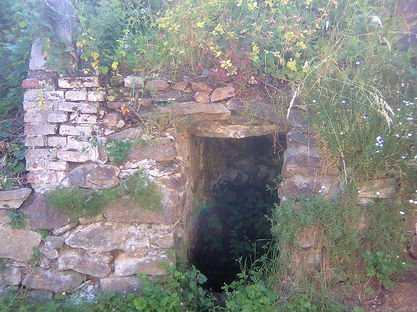 studánka bez jména (3644) - červenec 2010
