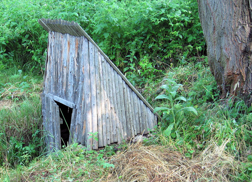 studánka Malý Kosatín (3648) - červenec 2010