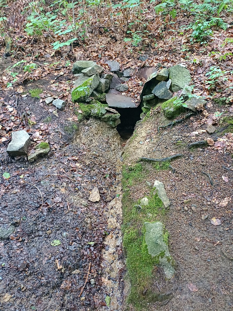 studánka bez jména (3649) - srpen 2023