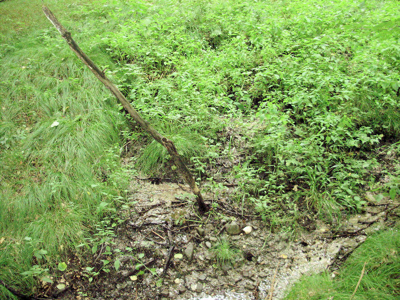 prameniště bez jména (3651) - červenec 2010