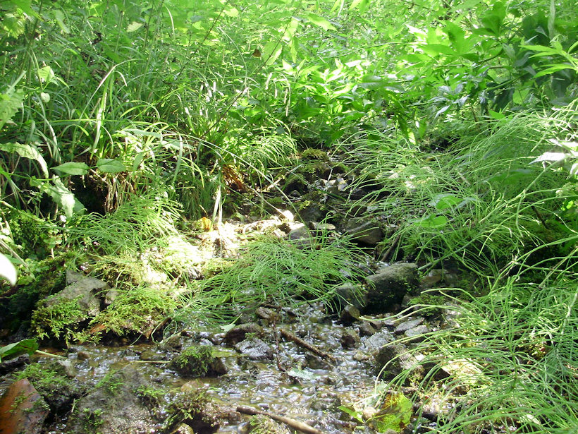 pramen bez jména (3655) - červenec 2010