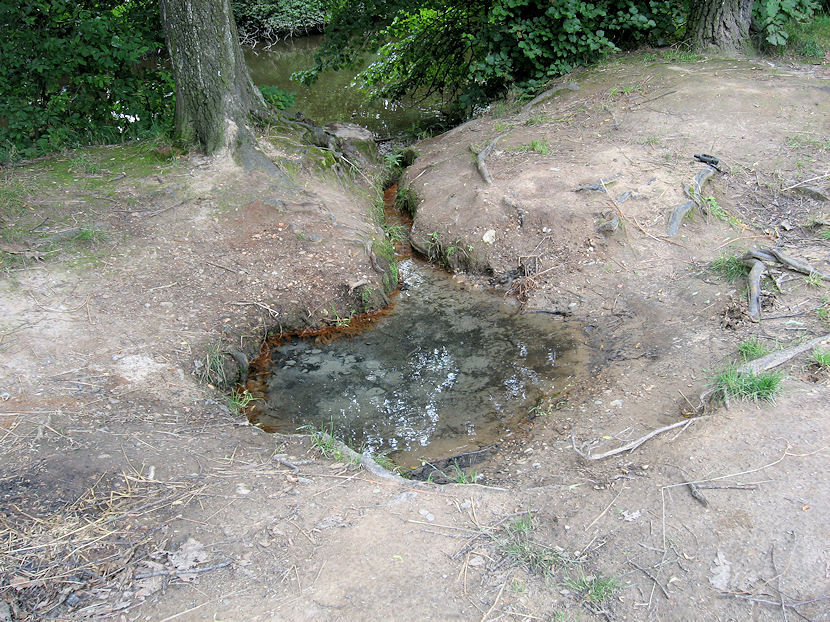 vrt U Špačků (3667) - červenec 2010