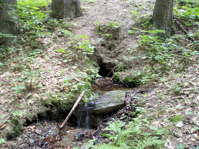 pramen Nad Bohdíkovem (3668) - červenec 2010