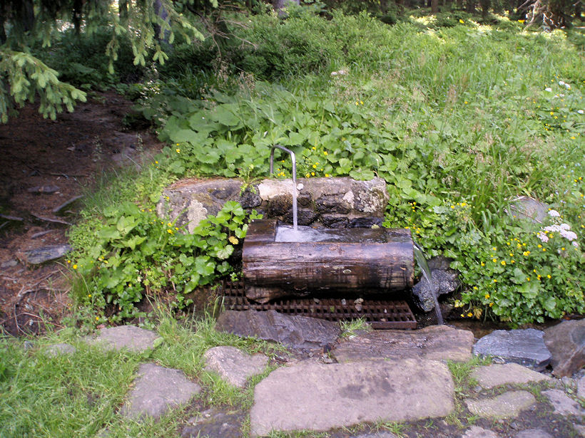 studánka Medvědí pramen (3670) - červenec 2010