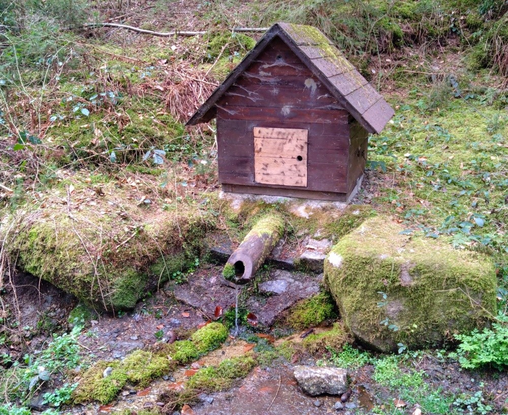 studánka Pod Hradišťským vrchem (3676) - duben 2025