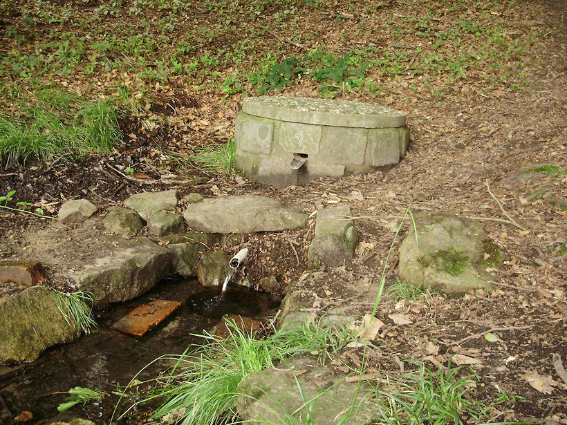 studánka Alenka (3681) - červenec 2010