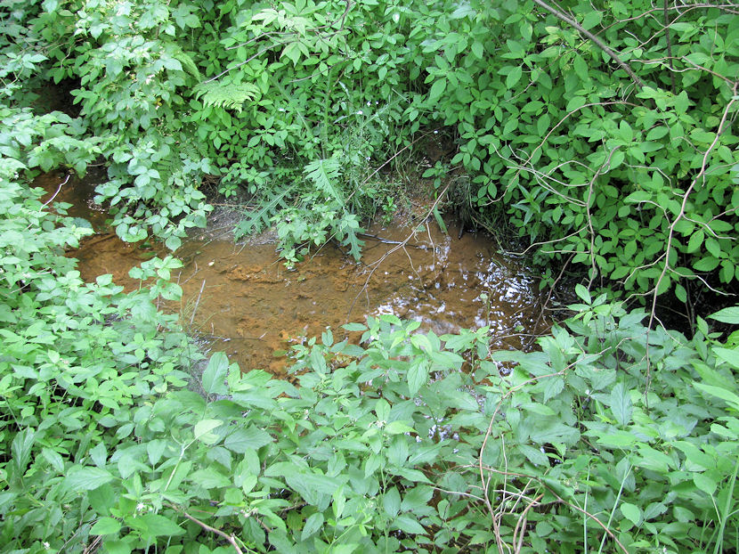 pramen bez jména (3692) - červenec 2010