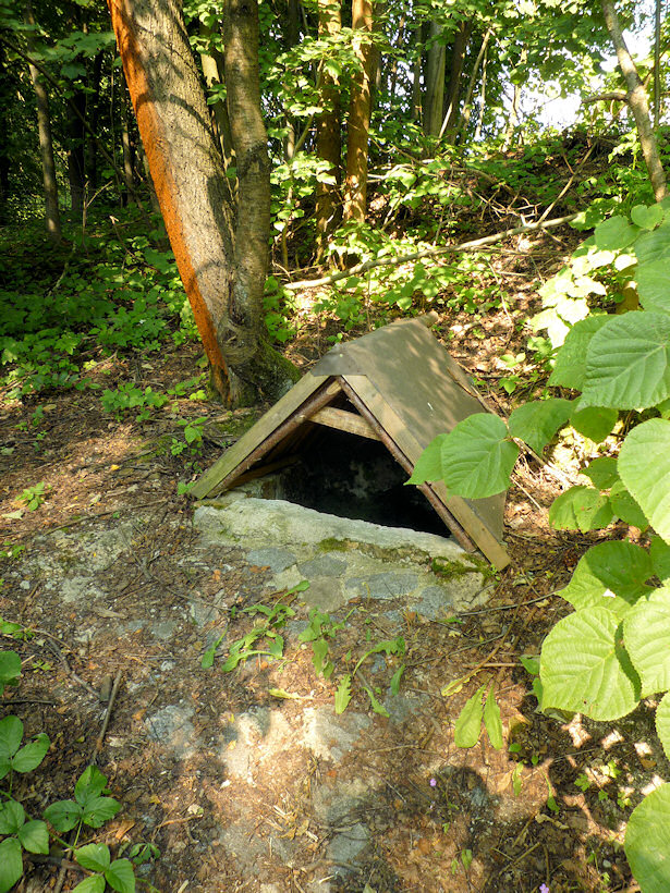 studánka Pod Pěčínem (3724) - srpen 2010