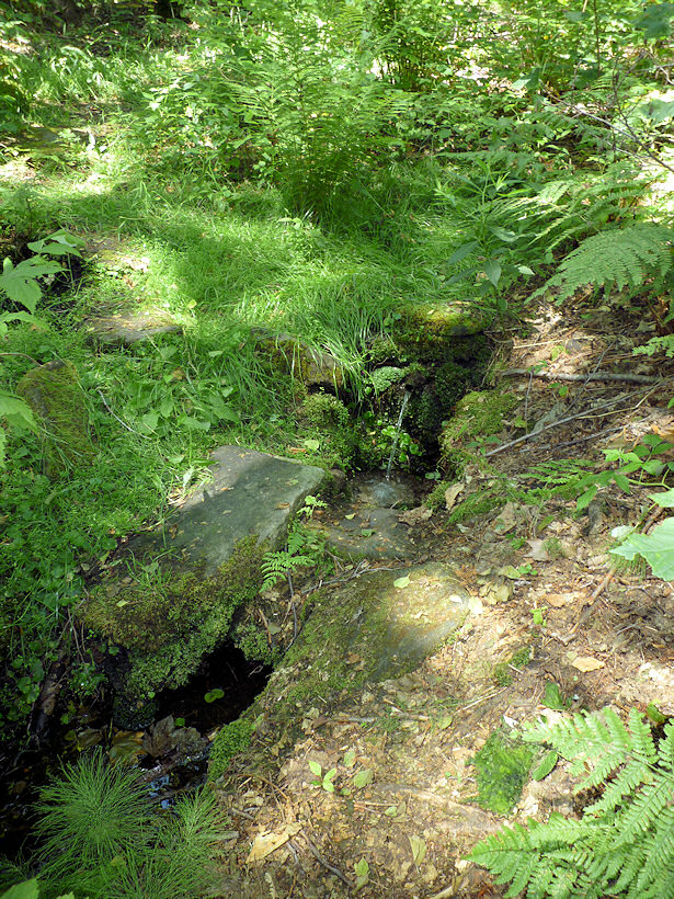 studánka Nad kapličkou (3728) - srpen 2010