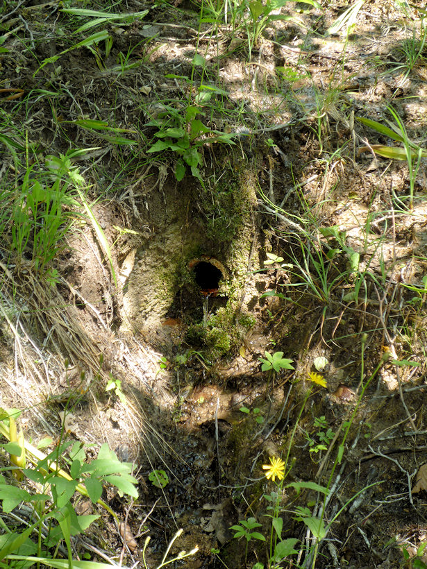studánka Stará hradištská (3731) - srpen 2010