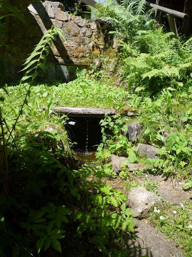 studánka U kolejí (3733) - srpen 2010