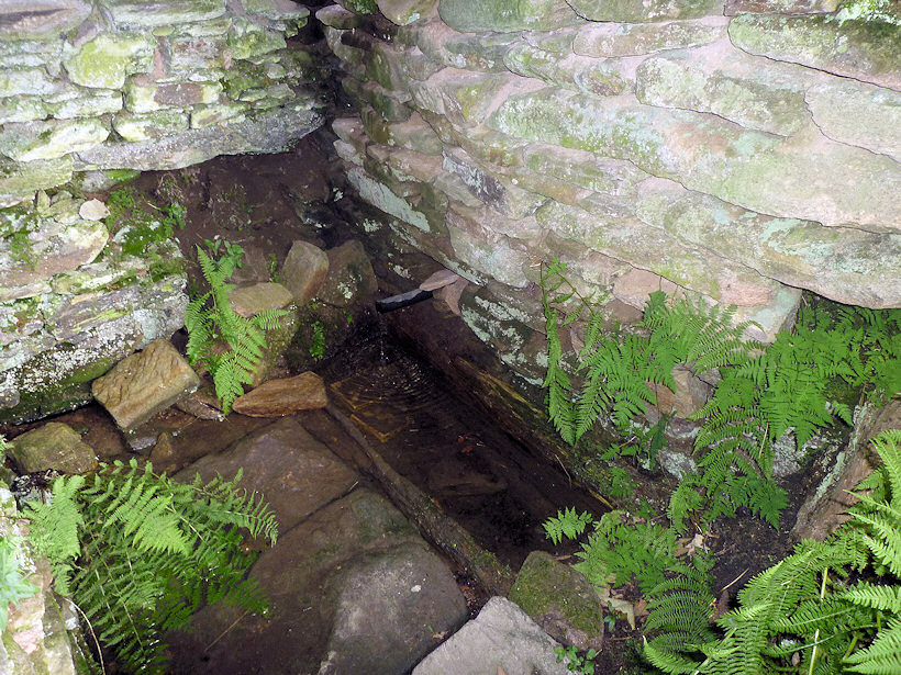 studánka Na Pustém vrchu (3736) - srpen 2010