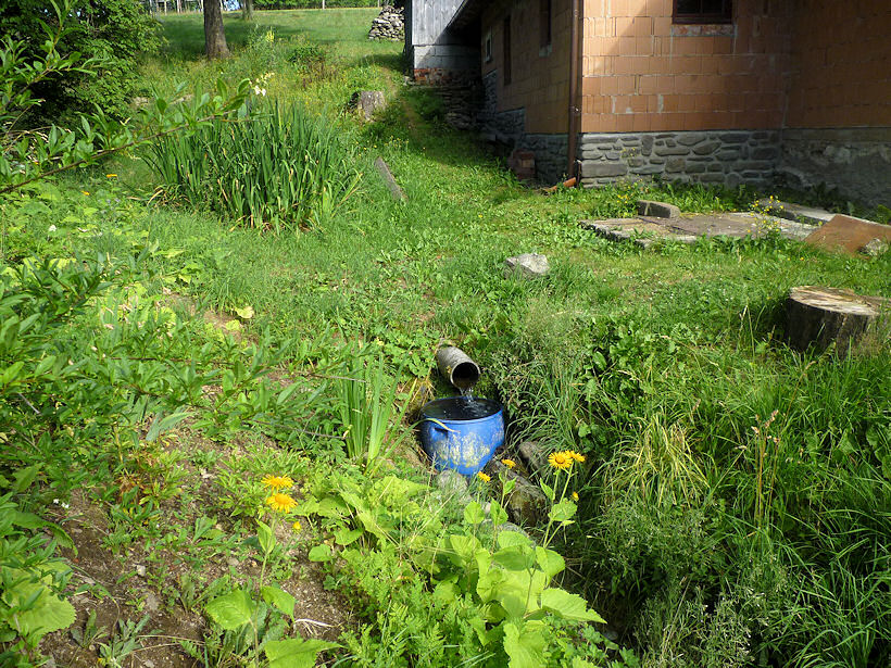 studánka Nová rampušská (3741) - srpen 2010