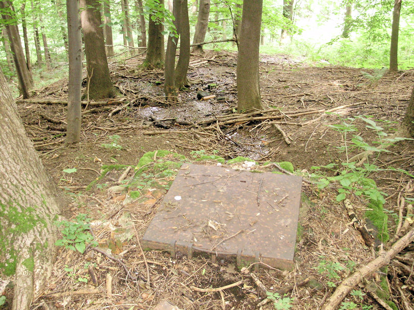 jiný vodní zdroj bez jména (3755) - srpen 2010