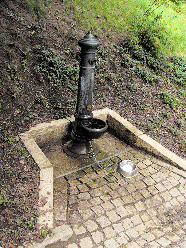 jiný vodní zdroj U misky (3759) - srpen 2010