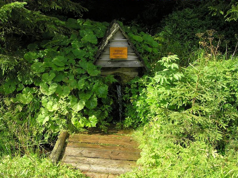 Tetřeví studánka (3764) - srpen 2010
