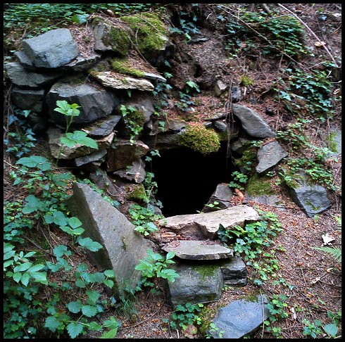 studánka bez jména (3768) - srpen 2010