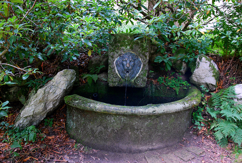 studánka Zámecká (3771) - srpen 2010
