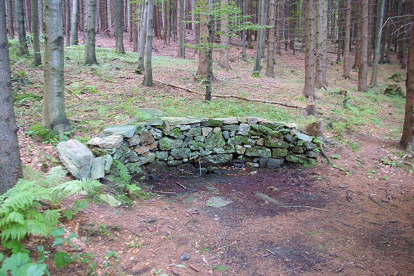 studánka Jedlový pramen (3772) - srpen 2010