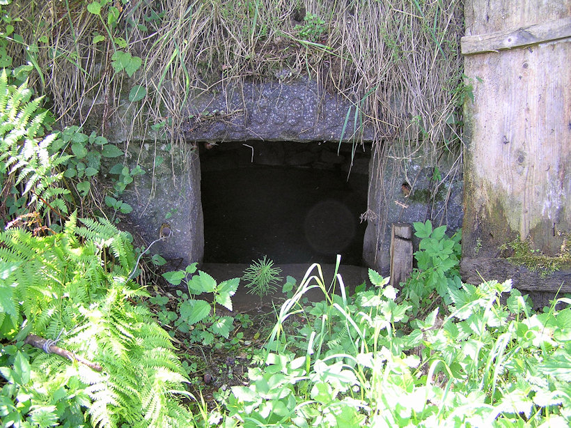 Mladotická studánka (3773) - srpen 2010