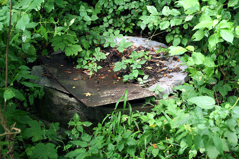 studna U Cihelny (3782) - srpen 2010
