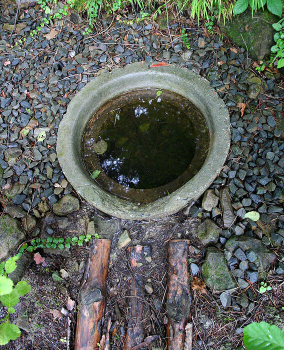 studánka Na Pulčínské cestě II (3786) - srpen 2010