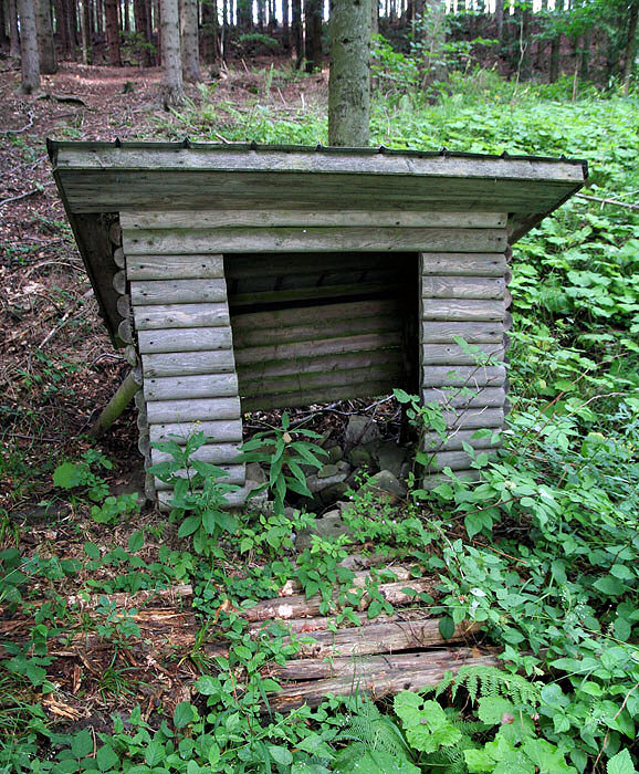 studánka Na Kůtě (3788) - srpen 2010