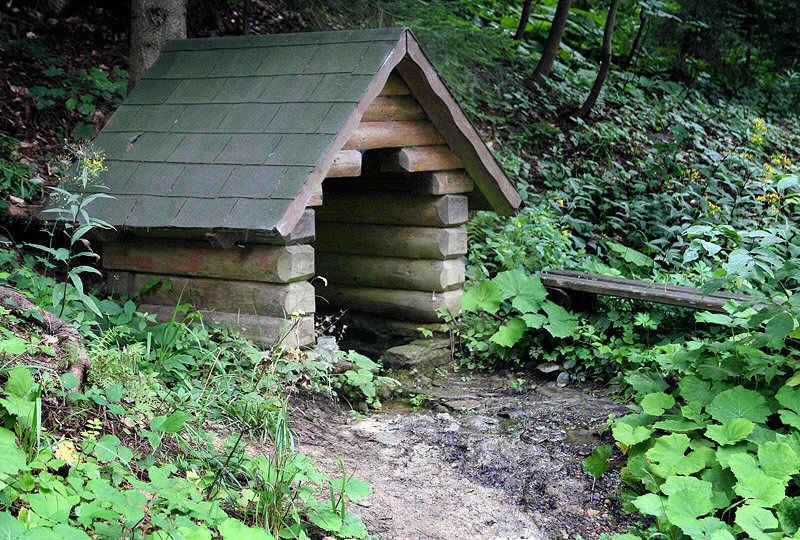 studánka Pramen u sv. Václava (3790) - srpen 2010