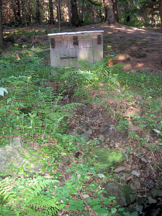 studánka Přední Nytrová (3797) - srpen 2010