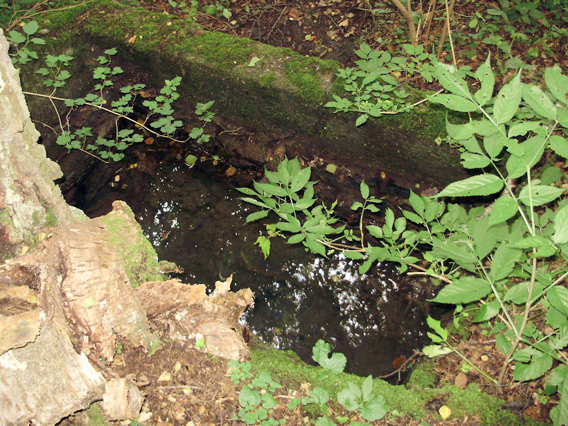 studánka Pod Suchou (3863) - srpen 2010