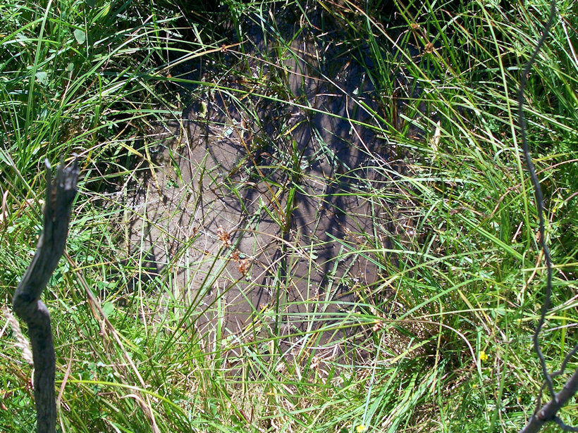 studánka Na Durajce (3870) - srpen 2010
