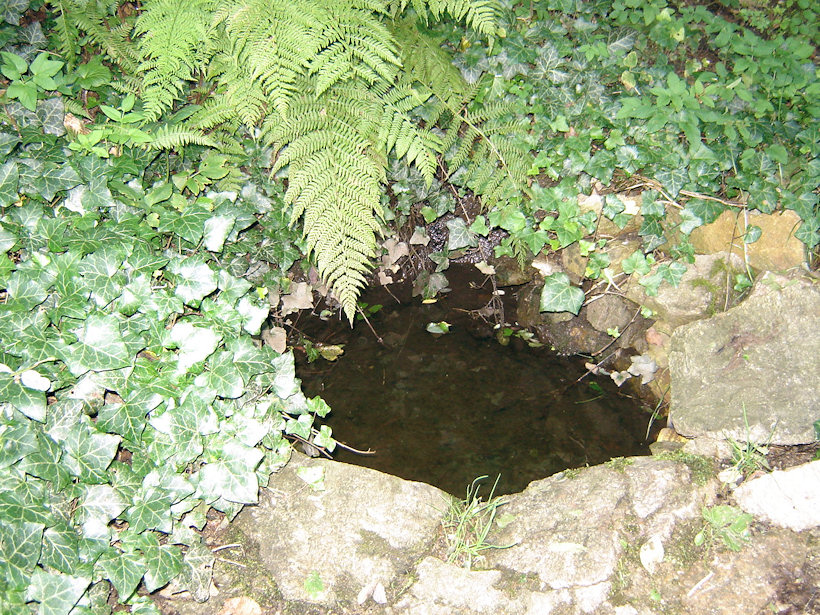 studánka Pod Lurdskou jeskyní (3881) - srpen 2010