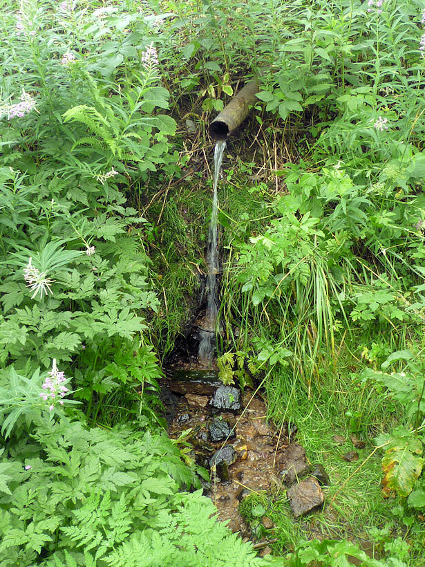 studánka Pod Perlou (3883) - srpen 2010