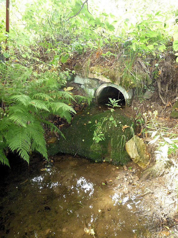 studánka Pod hájovnou (3895) - srpen 2010