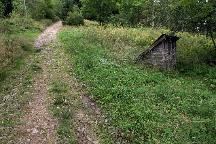 studánka Na Smutnikách (3922) - srpen 2010