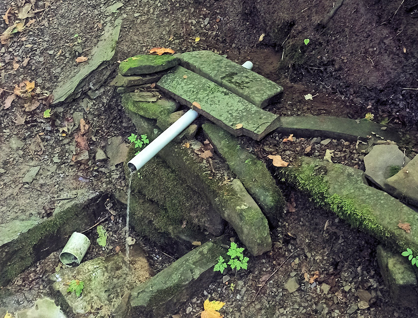 Vlastina studánka I (3935) - srpen 2022
