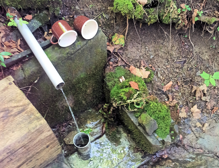 Vlastina studánka II (3936) - srpen 2022