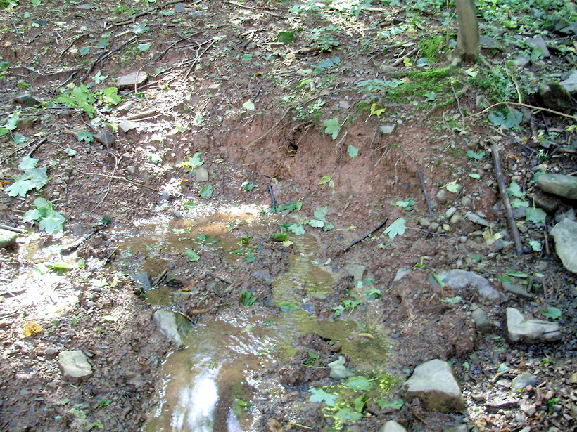 pramen bez jména (3947) - září 2010